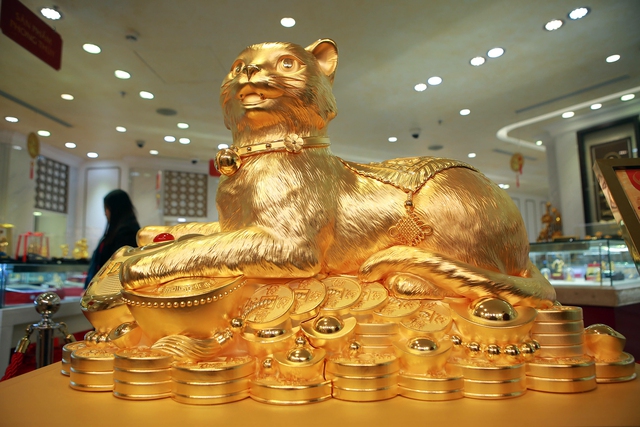 Cận cảnh Mèo vàng &quot;Kim Mão vương bảo&quot; gần 50kg gây sốt ngày vía Thần Tài - Ảnh 3.