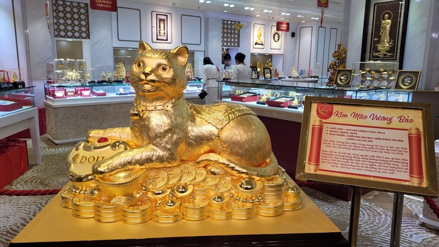 Cận cảnh Mèo vàng &quot;Kim Mão vương bảo&quot; gần 50kg gây sốt ngày vía Thần Tài - Ảnh 2.