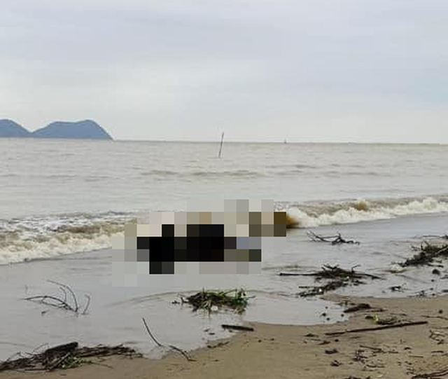 Phát hiện thi thể người phụ nữ trôi dạt vào bờ biển Hà Tĩnh - Ảnh 1.