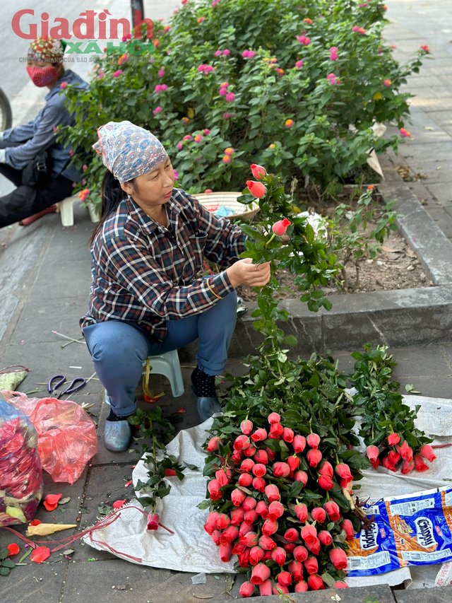 Cận kề ngày Phụ nữ Việt Nam 20/10, trăm hoa khoe sắc trên khắp các tuyến phố Hà Nội - Ảnh 13.