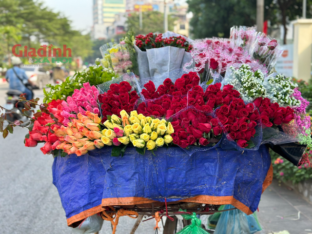 Cận kề ngày Phụ nữ Việt Nam 20/10, trăm hoa khoe sắc trên khắp các tuyến phố Hà Nội - Ảnh 1.