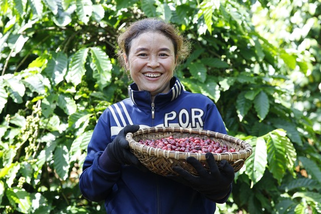 Nestlé Việt Nam góp phần nâng cao vai trò của phụ nữ trong toàn chuỗi cung ứng - Ảnh 1.