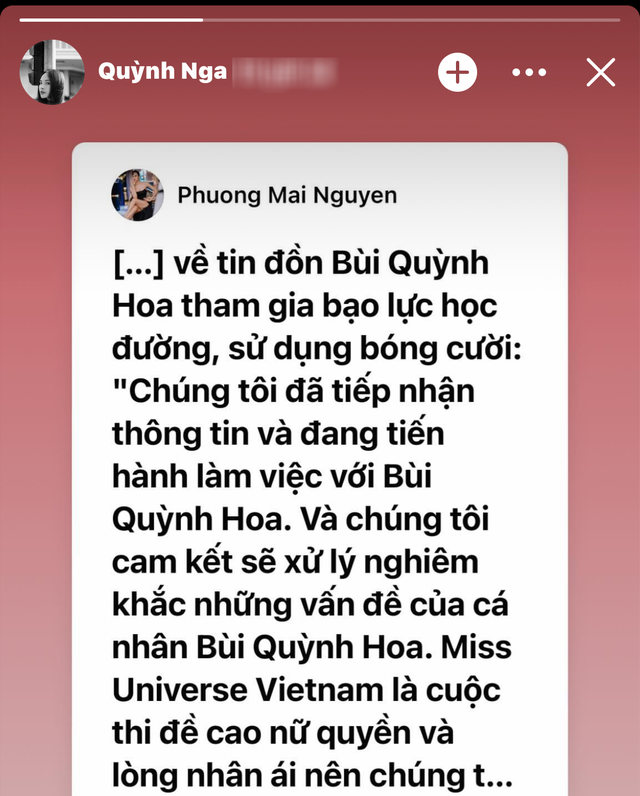 Bùi Quỳnh Hoa nghi vấn dùng bóng cười, BGK và giám đốc quốc gia Miss Universe Vietnam 2023 có động thái - Ảnh 3.