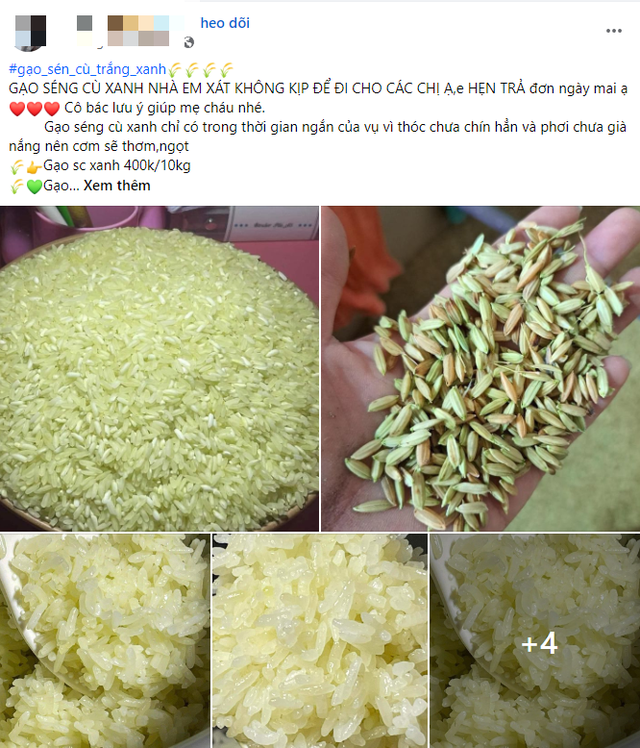 Cận cảnh quy trình nghiền lá, nhuộm thành gạo Séng Cù xanh để 'lòe' người tiêu dùng - Ảnh 4.