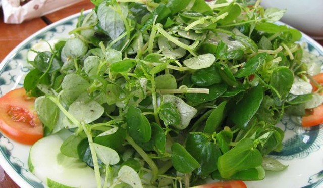 Loại rau mọc dại ở Việt Nam được thế giới gọi là 'siêu thực phẩm', có công dụng bất ngờ! - Ảnh 2.