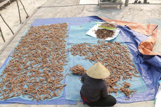 Ở 'Vương quốc hang động' có món gì ngon vừa đạt kỷ lục Châu Á ? - Ảnh 5.