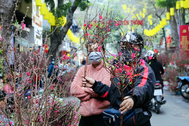 Hà Nội tổ chức 83 điểm chợ hoa Xuân phục vụ người dân dịp Tết Nguyên đán Giáp Thìn 2024 - Ảnh 1.
