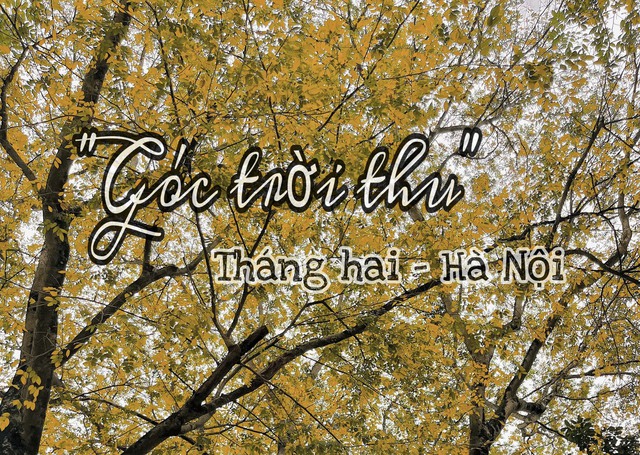 Giới trẻ thích thú check in “góc trời thu” giữa tiết Xuân Hà Nội - Ảnh 1.