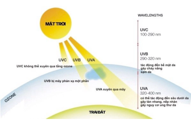 Tia cực tím là gì? Chỉ số bức xạ và những nguy hại đến sức khỏe cần nắm bắt - Ảnh 3.