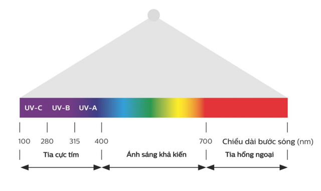 Tia cực tím là gì? Chỉ số bức xạ và những nguy hại đến sức khỏe cần nắm bắt - Ảnh 2.