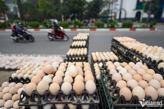 Trứng gà giá rẻ được bán tràn lan vỉa hè Hà Nội, chuyên gia chỉ rõ 4 mẹo chọn trứng gà sạch và ngon không phải ai cũng biết - Ảnh 2.