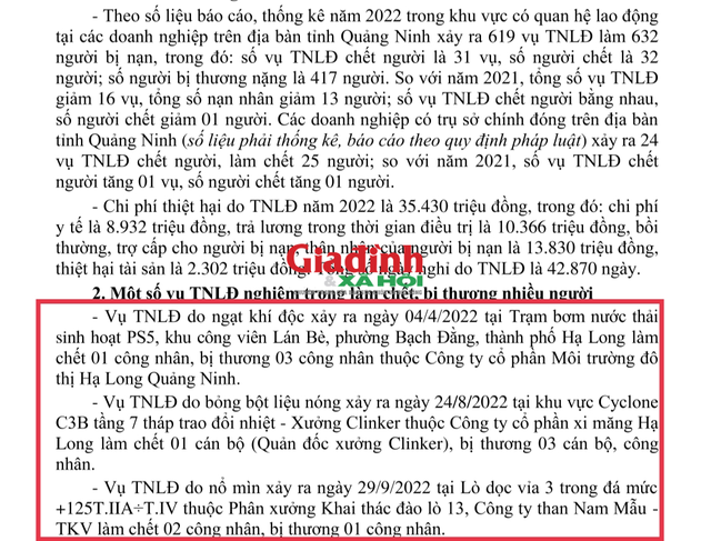 Quảng Ninh: Năm 2022 có hơn 600 vụ TNLĐ, xử lý hình sự 3 vụ - Ảnh 2.