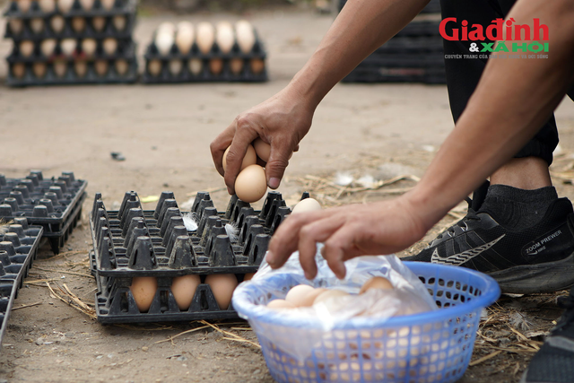 Hà Nội: Xuất hiện nhiều điểm bán trứng gà 'giải cứu', giá siêu rẻ - Ảnh 7.