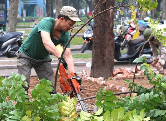 Chiêm ngưỡng hơn 10.000 cây hoa hồng được trồng - Ảnh 9.