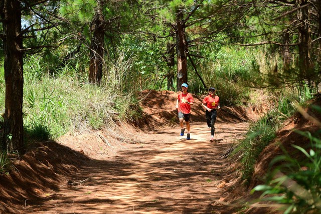 THACO là Nhà tài trợ chính Giải chạy Marathon Vì An toàn giao thông - Sa Thầy 2023 - Ảnh 2.