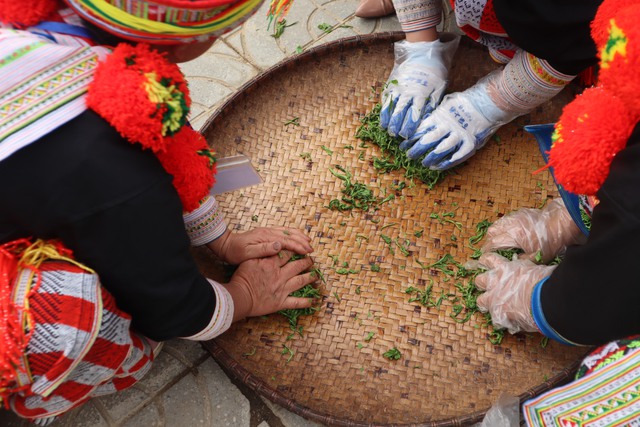 Chè Shan Tuyết Na Hang - hương vị khó quên của núi rừng Tuyên Quang - Ảnh 6.