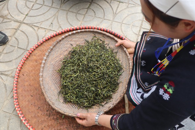 Chè Shan Tuyết Na Hang - hương vị khó quên của núi rừng Tuyên Quang - Ảnh 10.