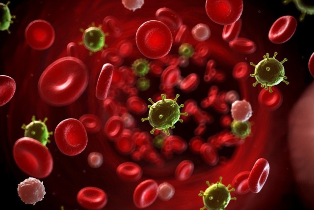 Liệu pháp miễn dịch trong điều trị Ung thư máu - Ảnh 1.
