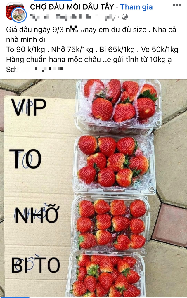 Sự thật dâu tây Sơn La giá rẻ tràn ngập chợ: Chị bán hàng tiết lộ &quot;chiêu&quot; nhận biết dâu chuẩn, xịn - Ảnh 4.