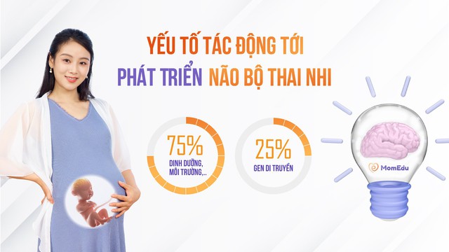Ứng dụng thai giáo MomEdu hỗ trợ kích thích phát triển não bộ thai nhi   - Ảnh 2.