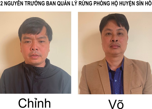 Lai Châu: Bắt giữ nhiều cán bộ Sở và trưởng ban quản lý rừng các huyện - Ảnh 3.