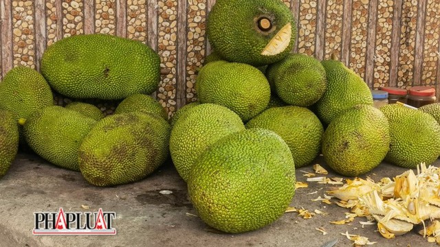 Tại sao tr&aacute;i m&iacute;t b&aacute;n ra lại bị cắt 1 miếng ở đầu, kh&ocirc;ng phải ai cũng hiểu đ&uacute;ng - Ảnh 2.