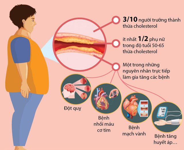 Hỗ trợ giảm Cholesterol trong máu, tốt cho tim mạch - Ảnh 1.