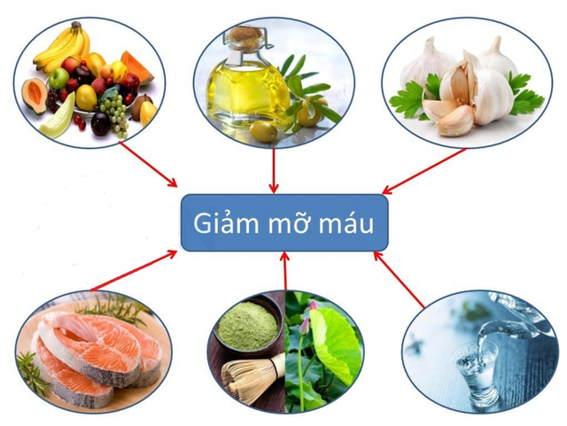 Hỗ trợ giảm Cholesterol trong máu, tốt cho tim mạch - Ảnh 2.