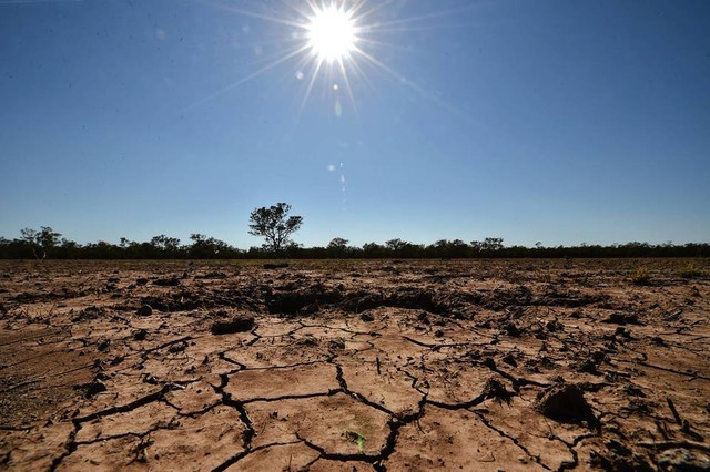 Năm 2023 là năm nóng nhất trong lịch sử vì El Nino? - Ảnh 1.