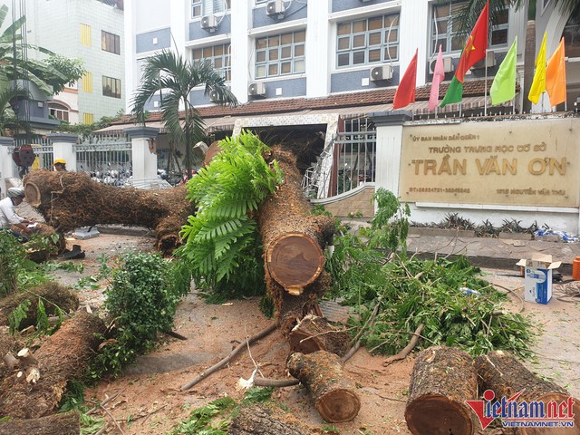 Tin 4/4: Thông tin mới nhất vụ tai nạn nghiêm trọng làm 9 người thương vong; không khí lạnh sẽ hoạt động thế nào trong tháng 4? - Ảnh 4.