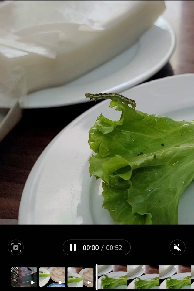 Hà Nội: Ăn bánh tráng Hoàng Bèo, thực khách kinh hoàng khi phát hiện sâu xanh bò lổng ngổm trên đĩa rau sống - Ảnh 1.