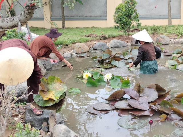 Bất ngờ được thưởng hoa đẹp, ăn đặc sản miền Tây tại chùa Long Hưng - Ảnh 2.