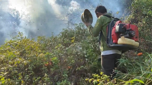 Hàng trăm người nỗ lực khống chế cháy rừng ở Hà Tĩnh - Ảnh 3.