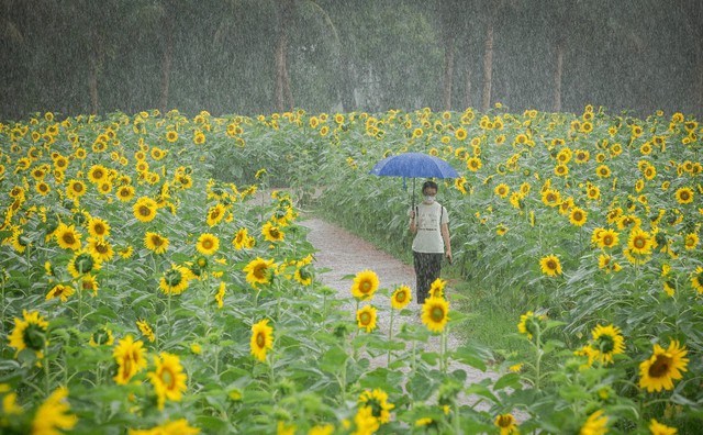 Ecopark- &quot;nơi có gió&quot; chữa lành cho người trưởng thành và thiên nhiên hạnh phúc cho trẻ nhỏ - Ảnh 3.