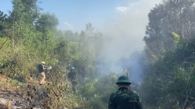 Hàng trăm người nỗ lực khống chế cháy rừng ở Hà Tĩnh - Ảnh 4.