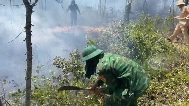 Hàng trăm người nỗ lực khống chế cháy rừng ở Hà Tĩnh - Ảnh 7.