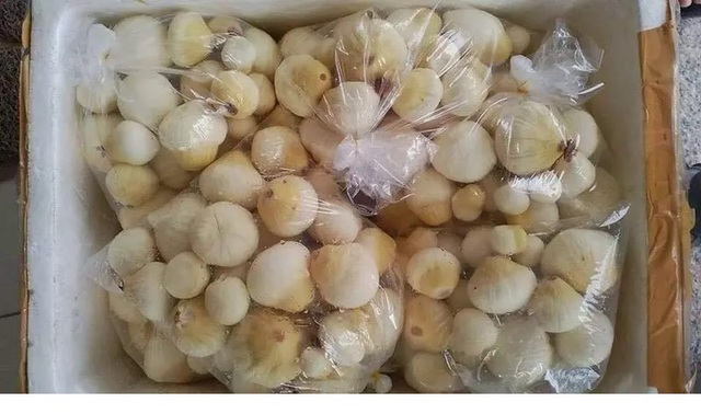 Thứ tinh túy bên trong quả dừa từng là thứ vứt đi nay bán tràn lan với giá cao vẫn hút người mua ngày hè - Ảnh 3.