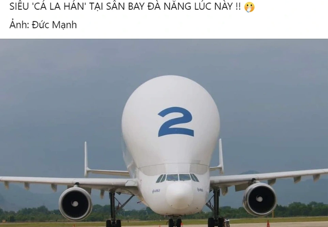 Máy bay &quot;cá voi trắng&quot; lạ mắt hạ cánh tại Đà Nẵng - Ảnh 3.