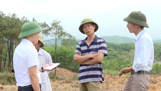 Kỷ luật nguyên Bí thư xã tại Quảng Bình vì phá rừng - Ảnh 1.