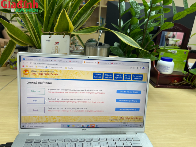 5 bước đăng ký trực tuyến tuyển sinh đầu cấp tại TPHCM và Hà Nội phụ huynh cần biết - Ảnh 2.