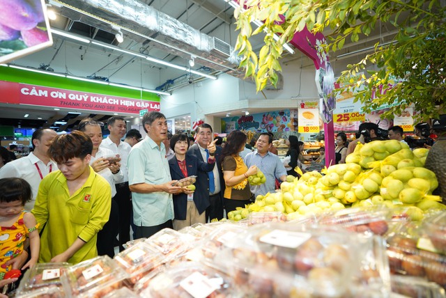 Hàng ngàn tấn nông sản Sơn La 'xuống phố', người dân Thủ đô được sử dụng trái cây an toàn - Ảnh 2.