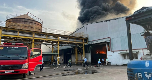 Cháy lớn ở xưởng công ty may mặc tại Đồng Nai - Ảnh 1.