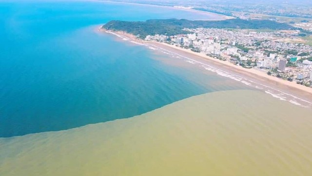 Hiện tượng lạ nước biển Sầm Sơn chia thành 2 màu xanh – vàng - Ảnh 2.
