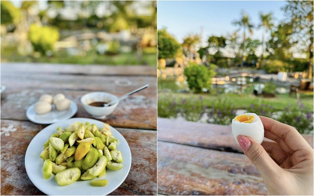 Mỹ Tâm khoe thu hoạch chôm chôm hé lộ khu vườn &quot;đi mỏi chân không hết&quot; - Ảnh 8.