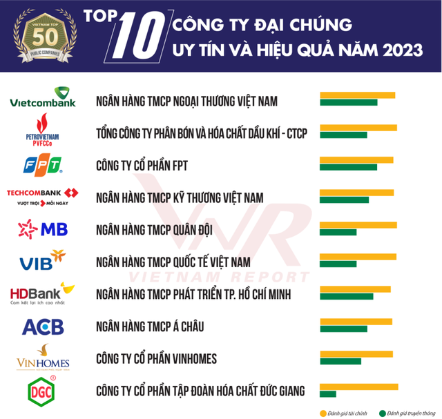 TOP 10 công ty đại chúng hiệu quả nhất năm 2023: Ấn tượng HDBank, Đạm Phú Mỹ và Hóa dầu Đức Giang - Ảnh 3.