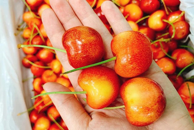 Không phải cherry đỏ, loại cherry đặc biệt này đang gây sốt thị trường - Ảnh 2.