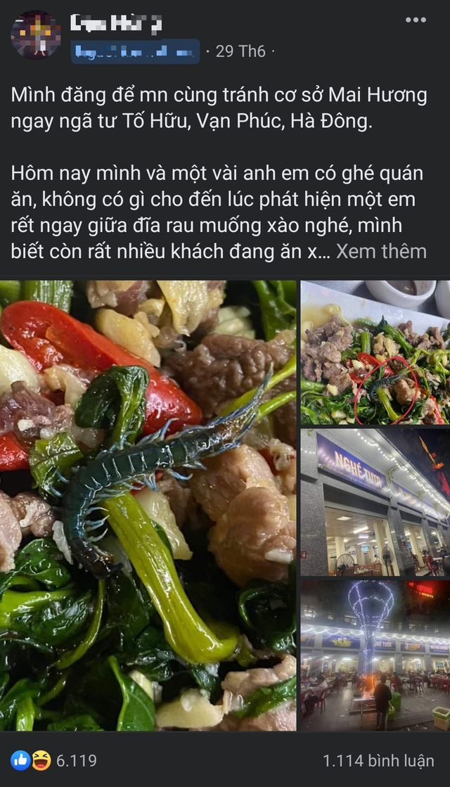 Hà Nội: Kiểm tra nhà hàng Mai Hương sau lùm xùm con rết xuất hiện trong đĩa rau muống xào, phát hiện chuột ở nơi chế xuất thực phẩm - Ảnh 4.