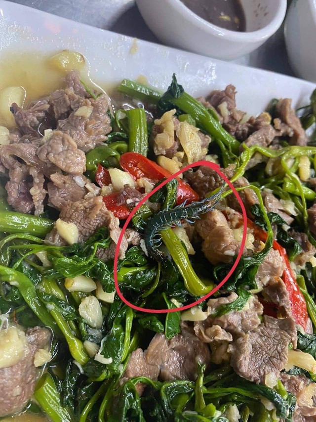 Hà Nội: Kiểm tra nhà hàng Mai Hương sau lùm xùm con rết xuất hiện trong đĩa rau muống xào, phát hiện chuột ở nơi chế xuất thực phẩm - Ảnh 5.