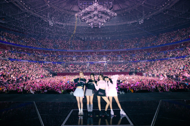 Giá vé concert BlackPink quá đắt, hàng loạt fan 'quay xe', YG buộc phải lên tiếng - Ảnh 4.