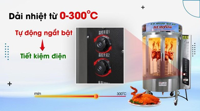 Cần lưu &yacute; g&igrave; khi mua l&ograve; quay vịt g&agrave; - Ảnh 2.